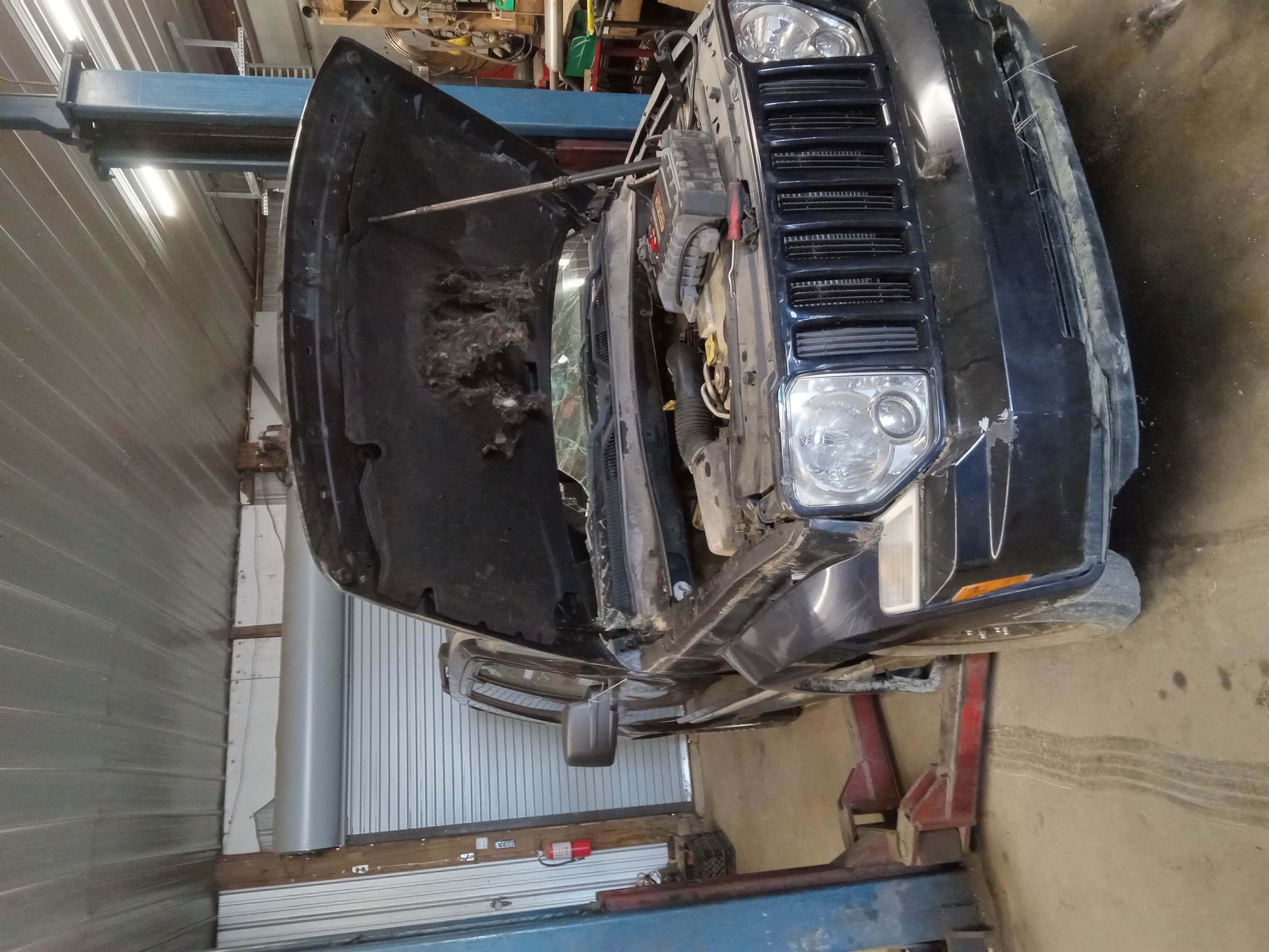 click on image to view larger size